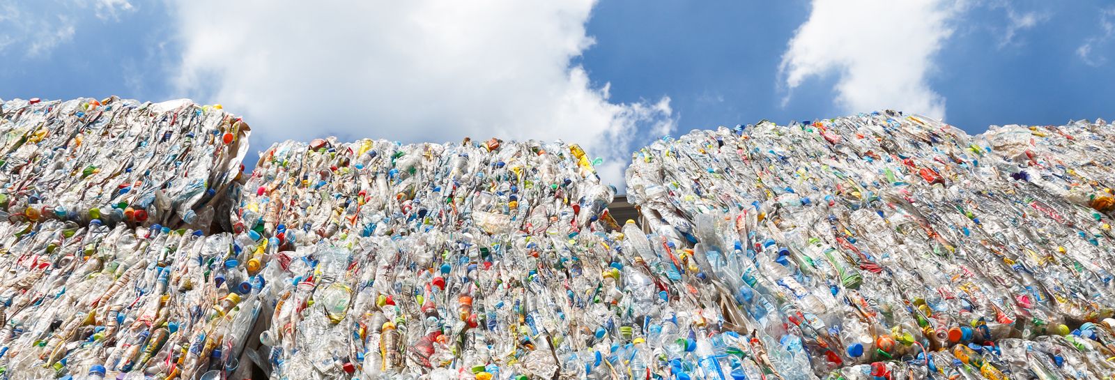 Waste minimisation banner image