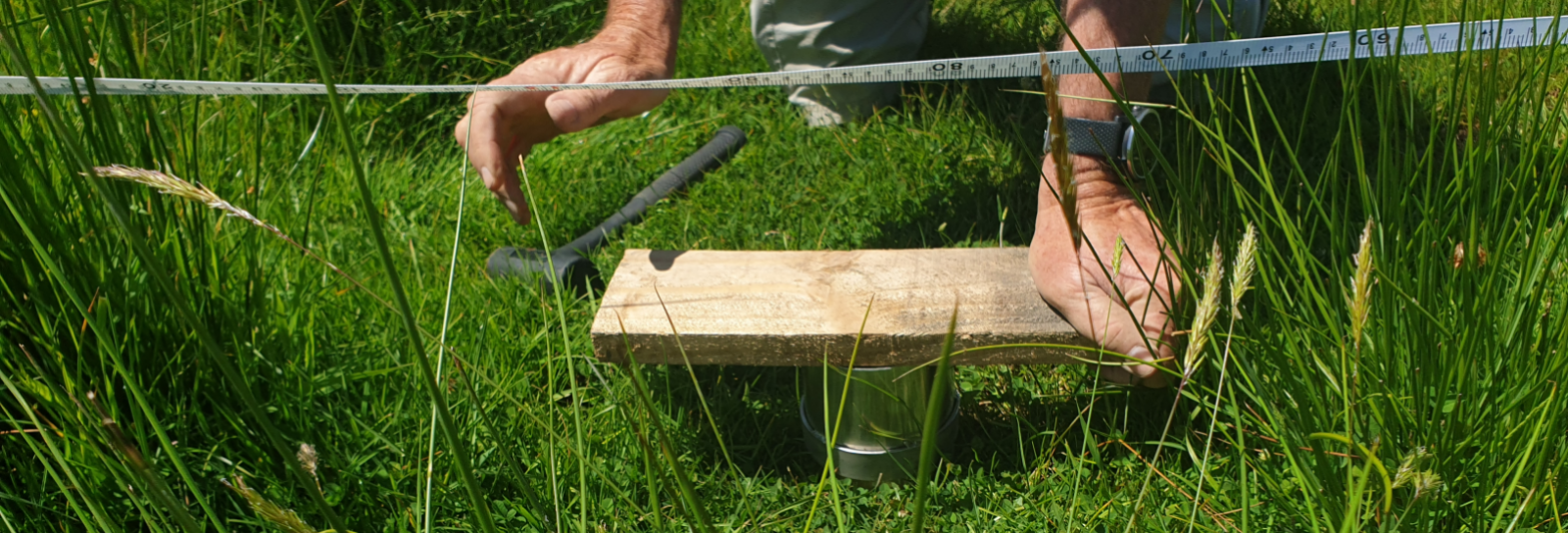 Soil quality monitoring banner image