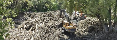 Expressions of Interest for clearing large woody debris