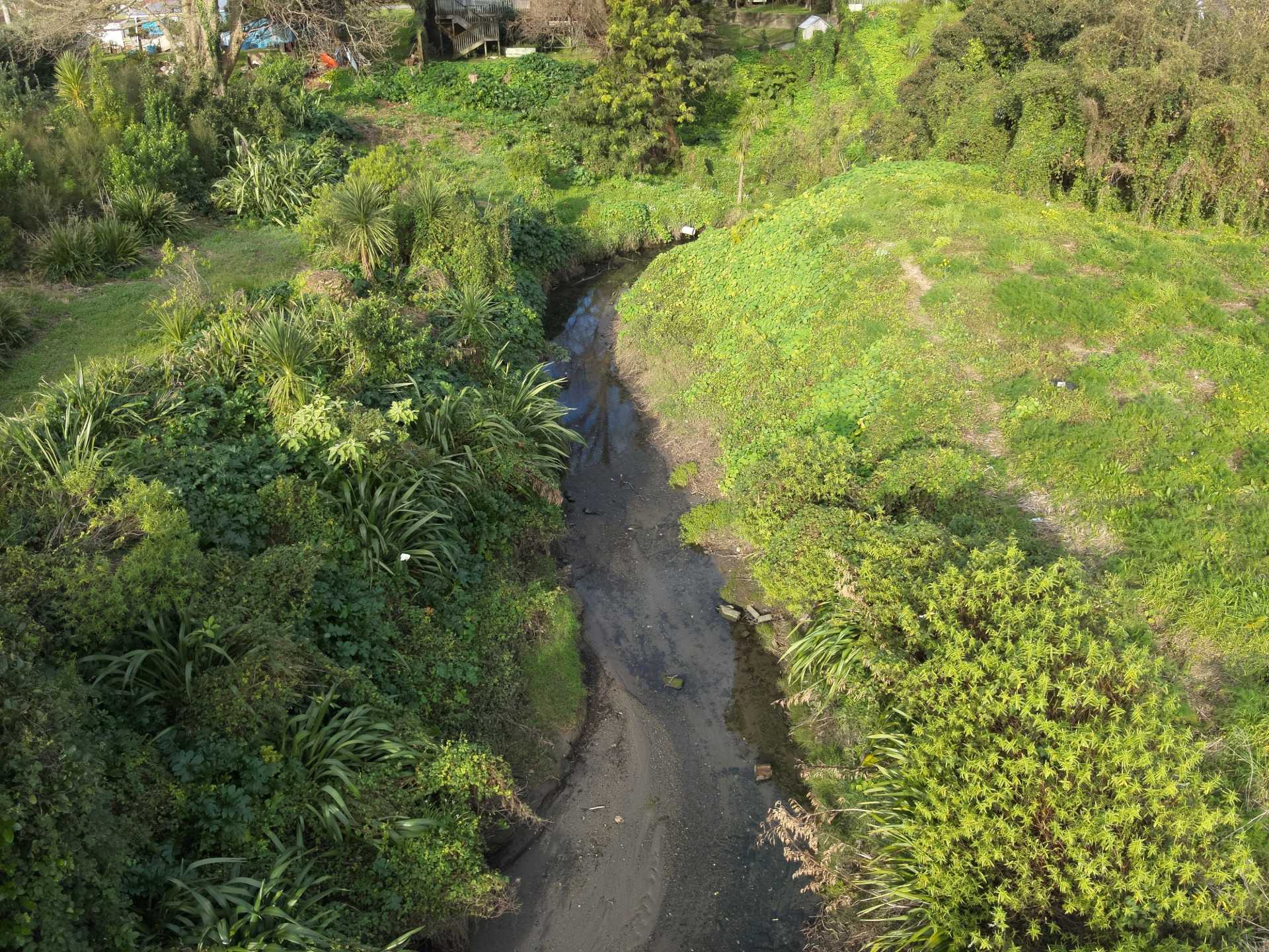 Kopua