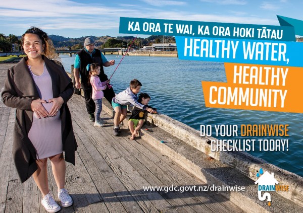 DrainWise Healthy water flyer