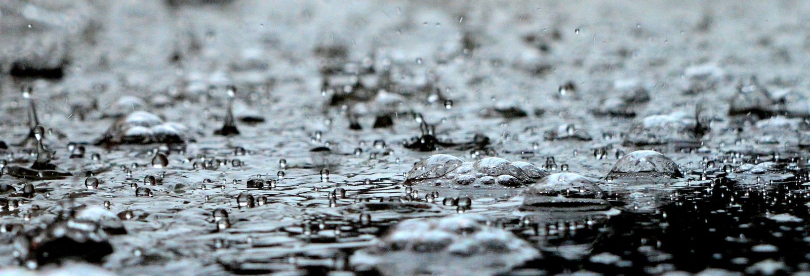 Rain banner image