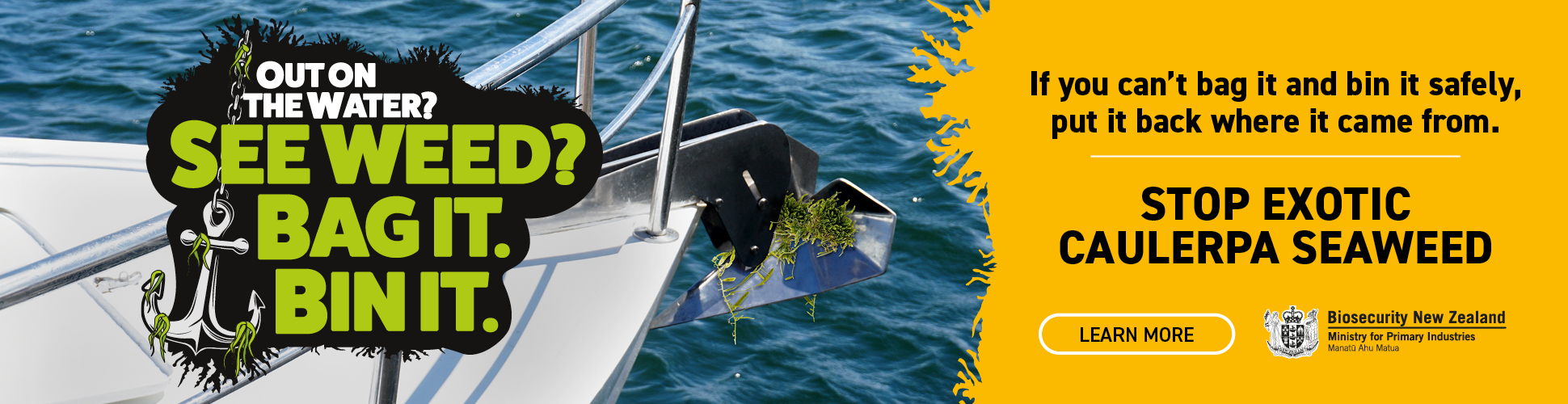 Stop Exotic Caulerpa Seaweed