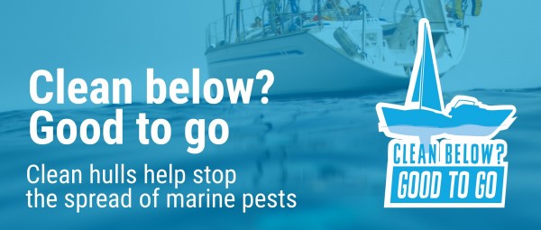 Marine biosecurity | Gisborne District Council