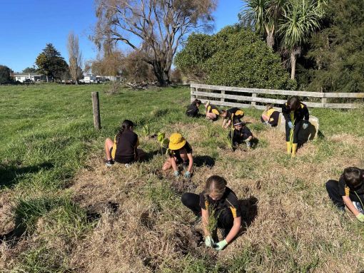 Waikanae