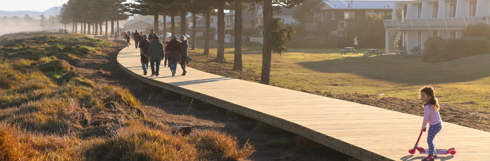 FDS Banner Boardwalk banner image