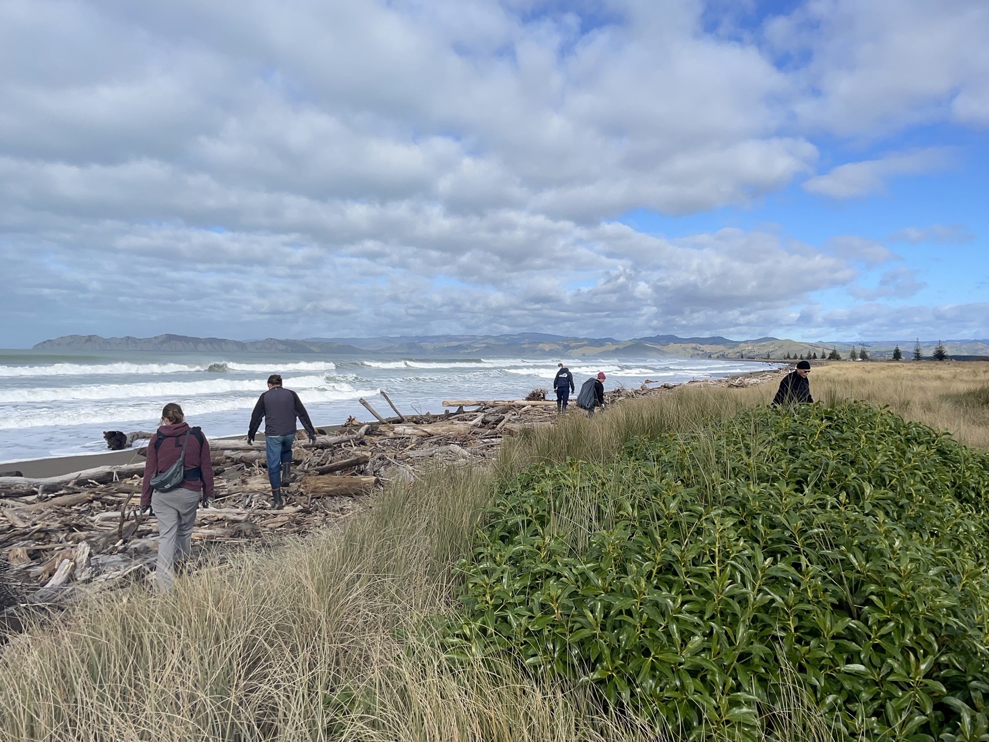 community beach clean Midway 2023