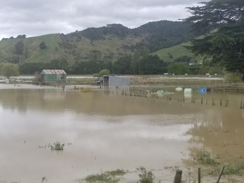Te Karaka flood resilience options