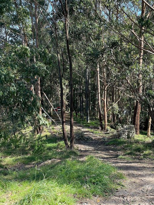 MTB Park