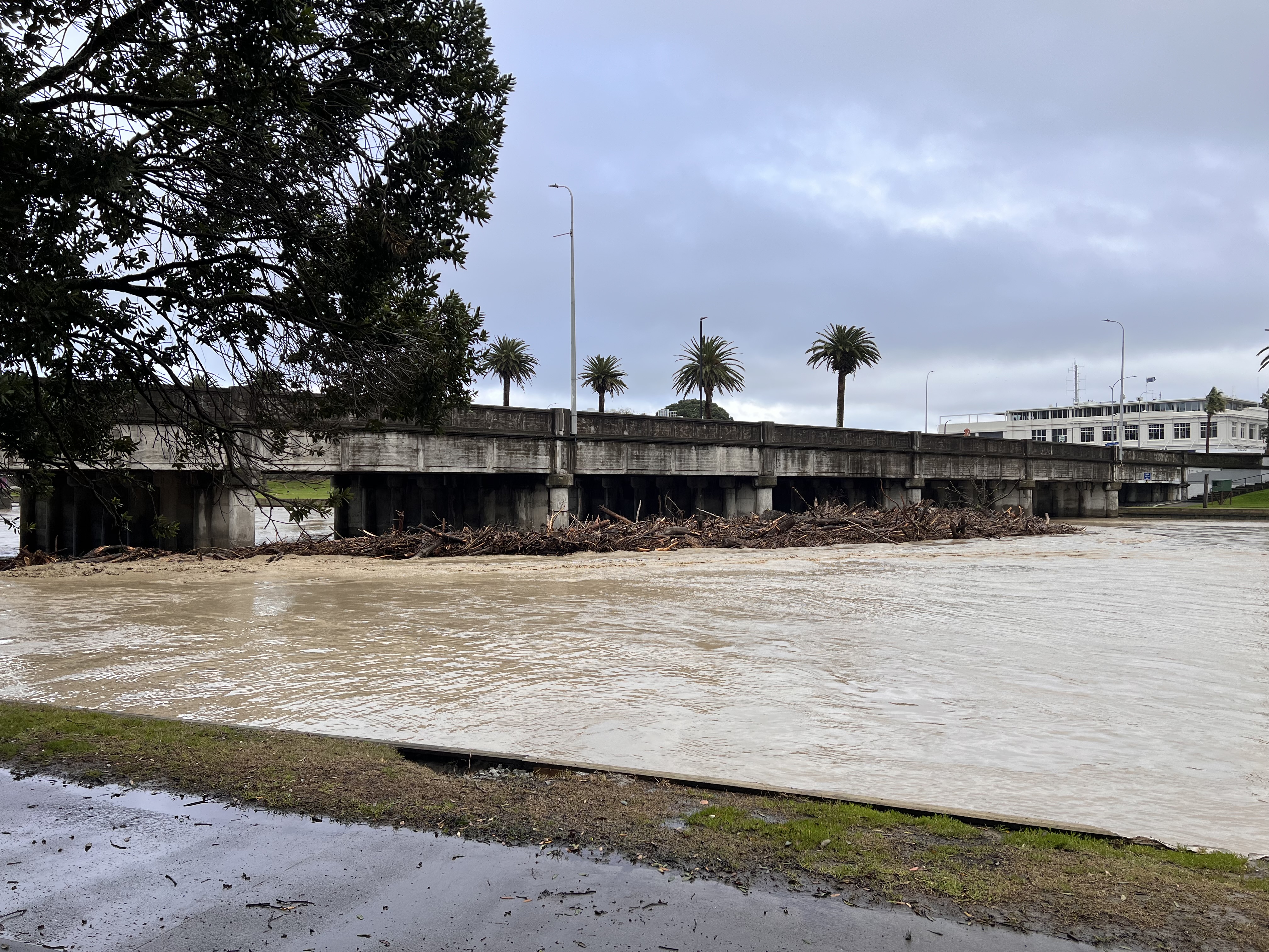 wood-debris-gladstone-road-bridge-june-2026