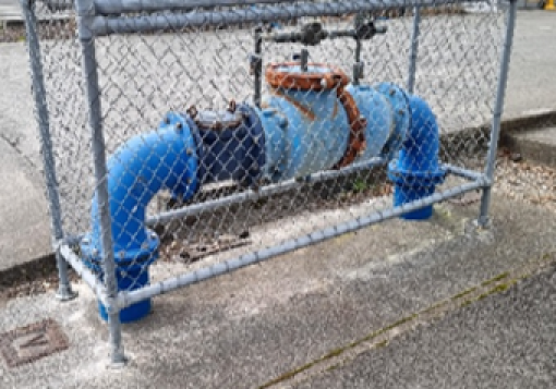 Backflow device