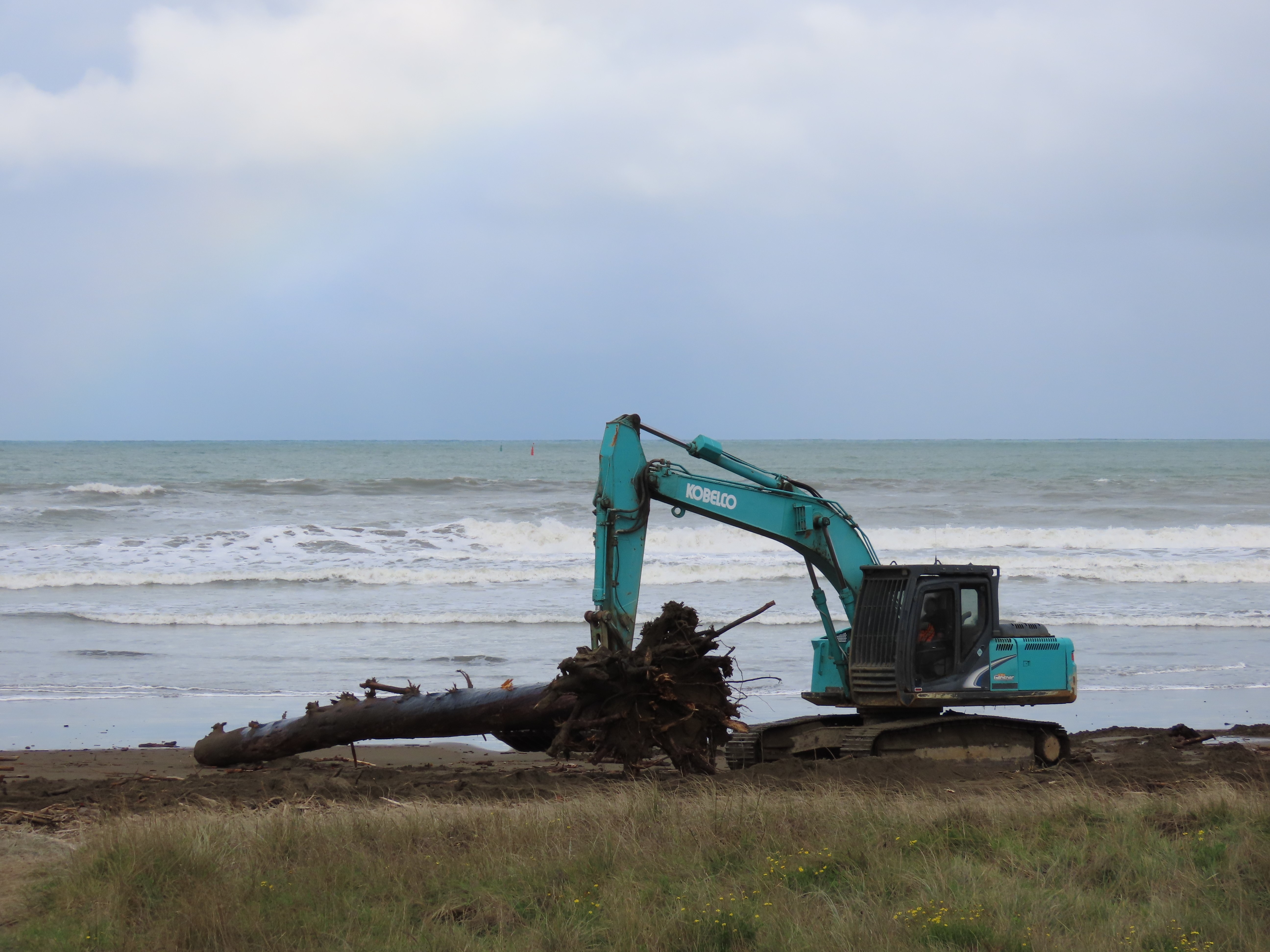 town beach clean July 2024
