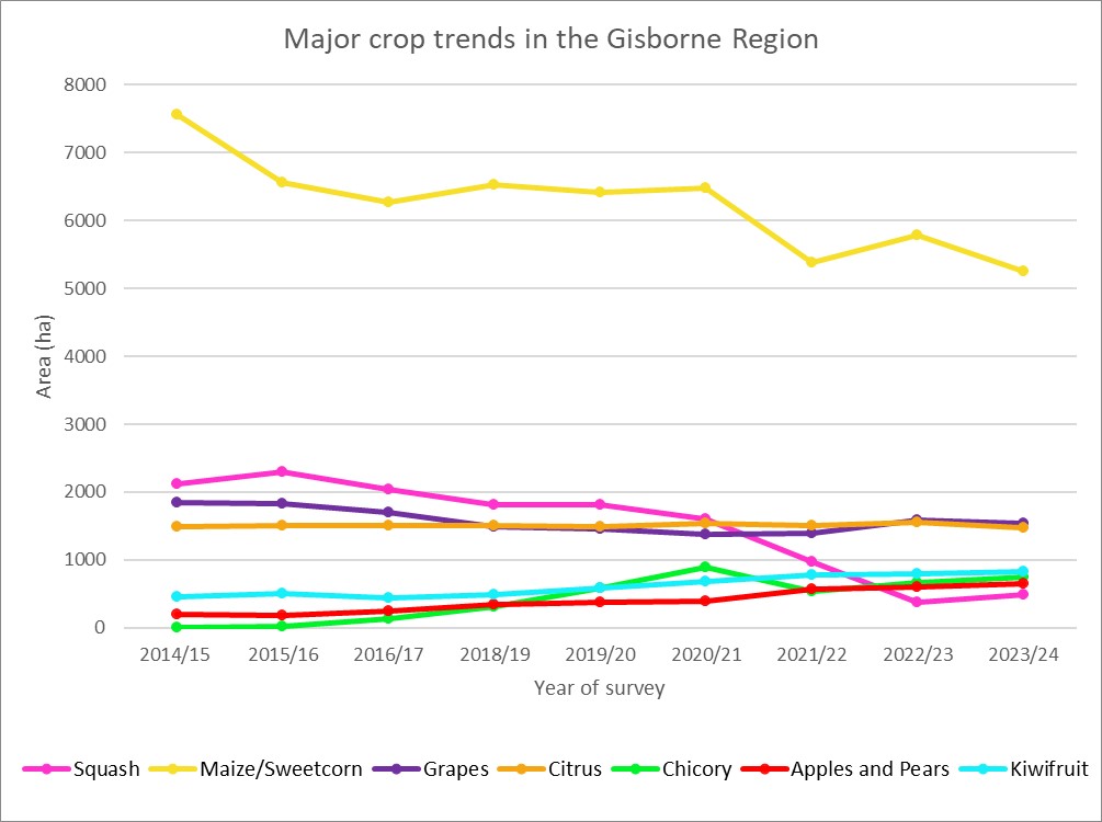 Graphic summer crop survey 2024