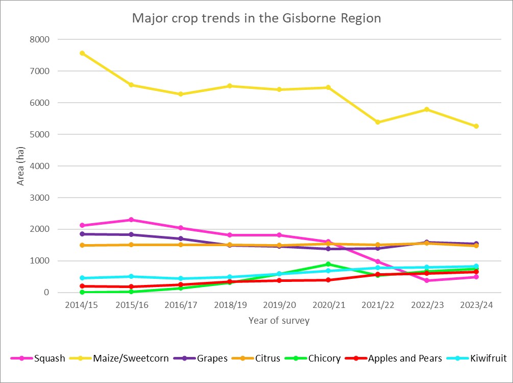 Graphic summer crop survey 2024