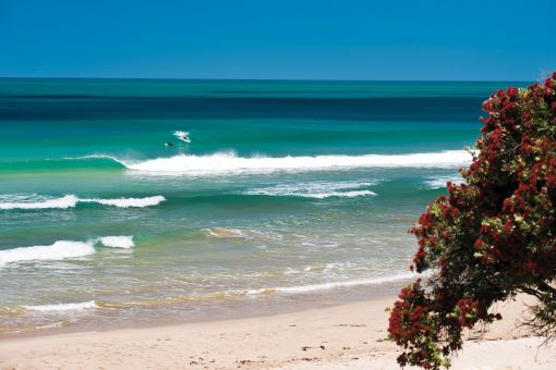 Surfing