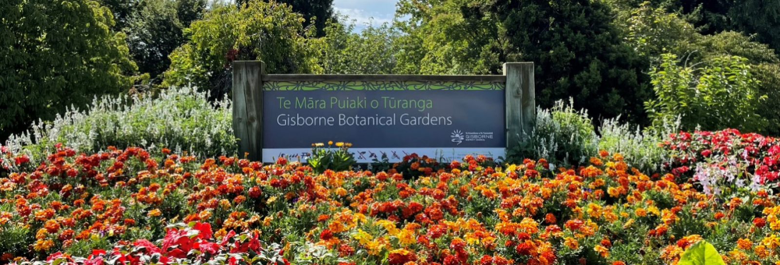 Botanical Gardens banner image