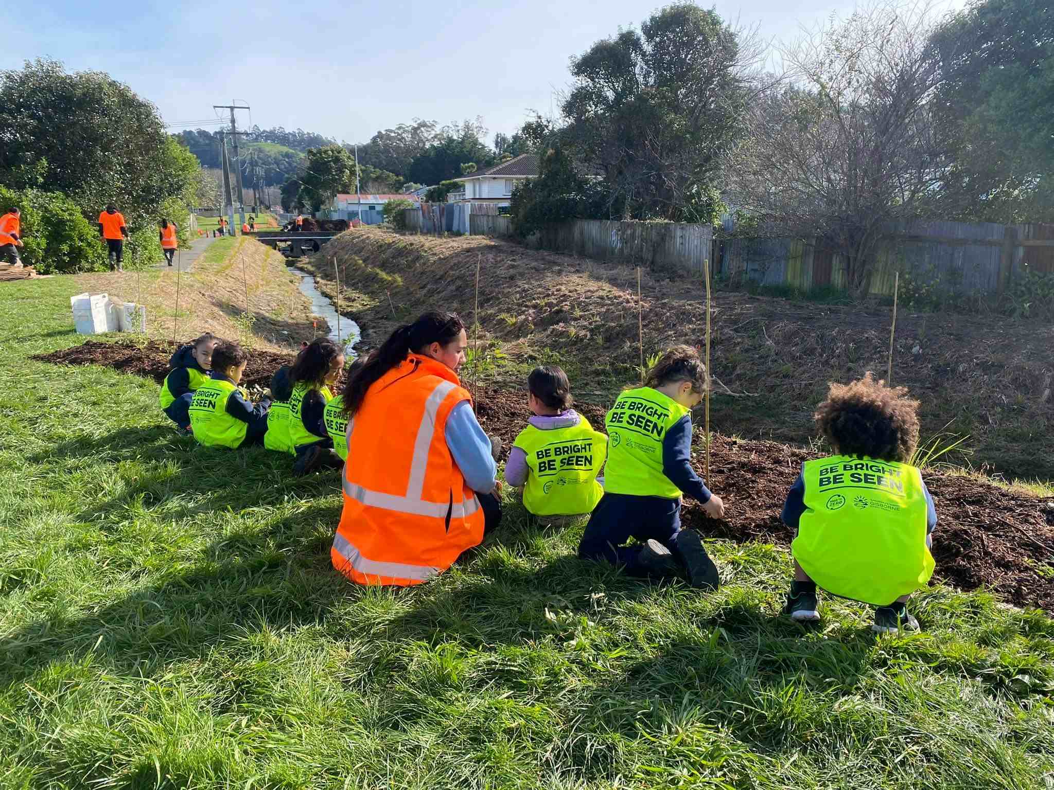 Planintg Waikirikiri Stream 2023