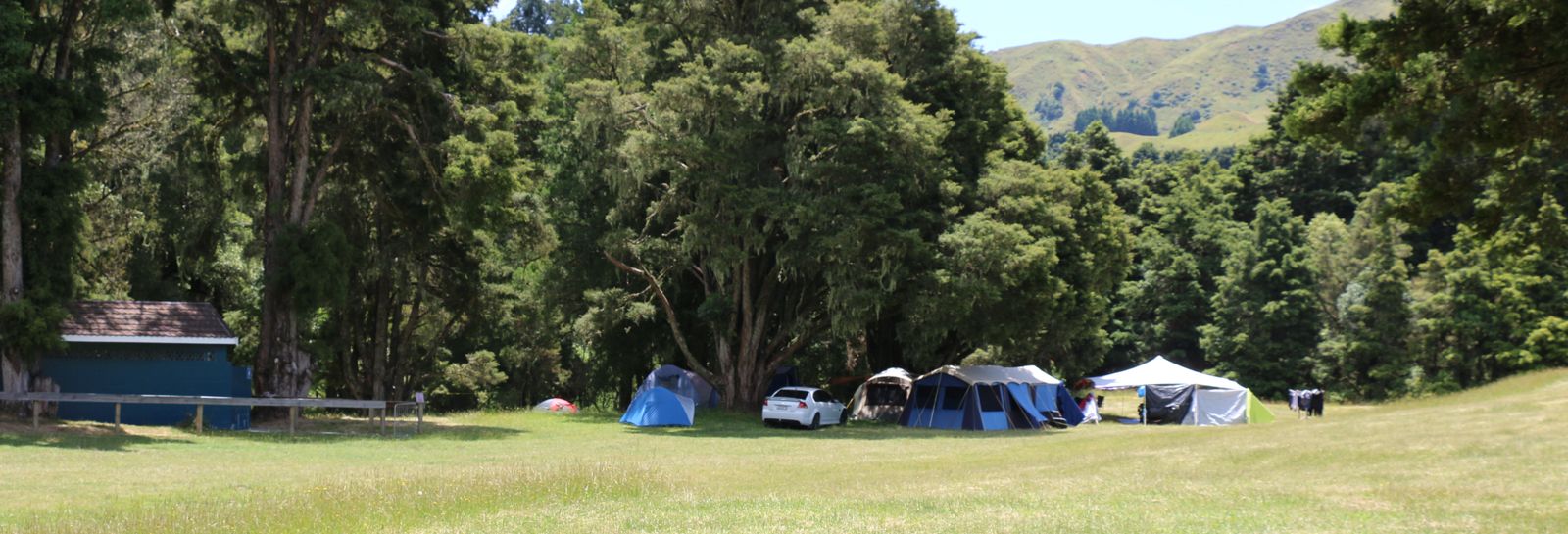 Doneraille Park banner image