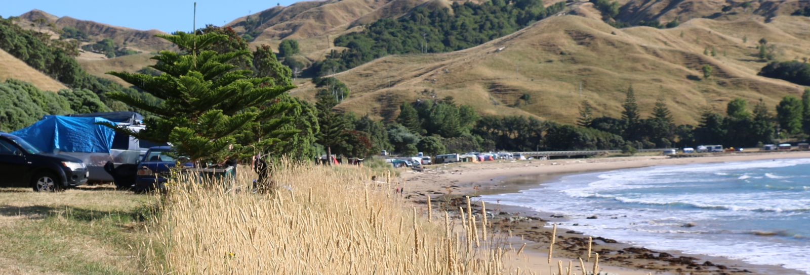 Turihaua Beach banner image