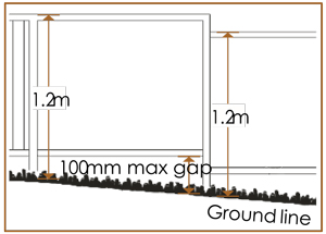 Fence Height