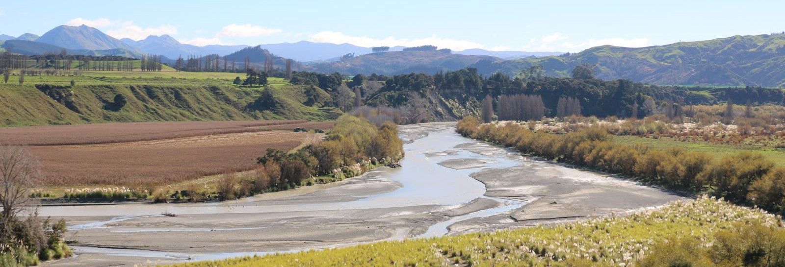 Waipaoa River banner image