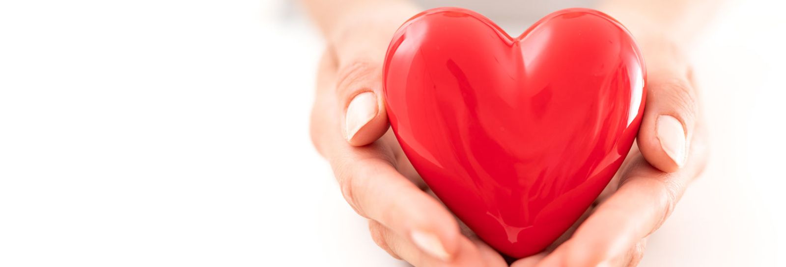 Heart in hands banner image