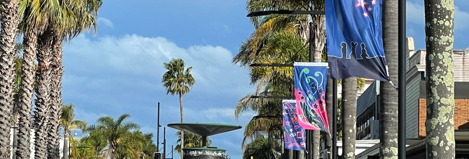 Matariki flags banner image